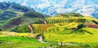 Những Tour du lich trong nước trong ngày nên đi