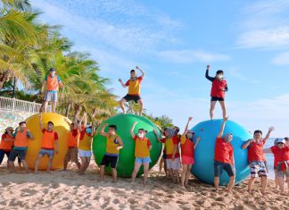 Quy trình triển khai của công ty team building uy tín, chuyên nghiệp