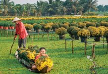 Cẩm nang du lịch: ăn gì, chơi gì, ở đâu Đồng Tháp